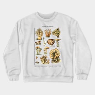 Endure and Survive - The last of us - Cordyceps mushrooms Crewneck Sweatshirt